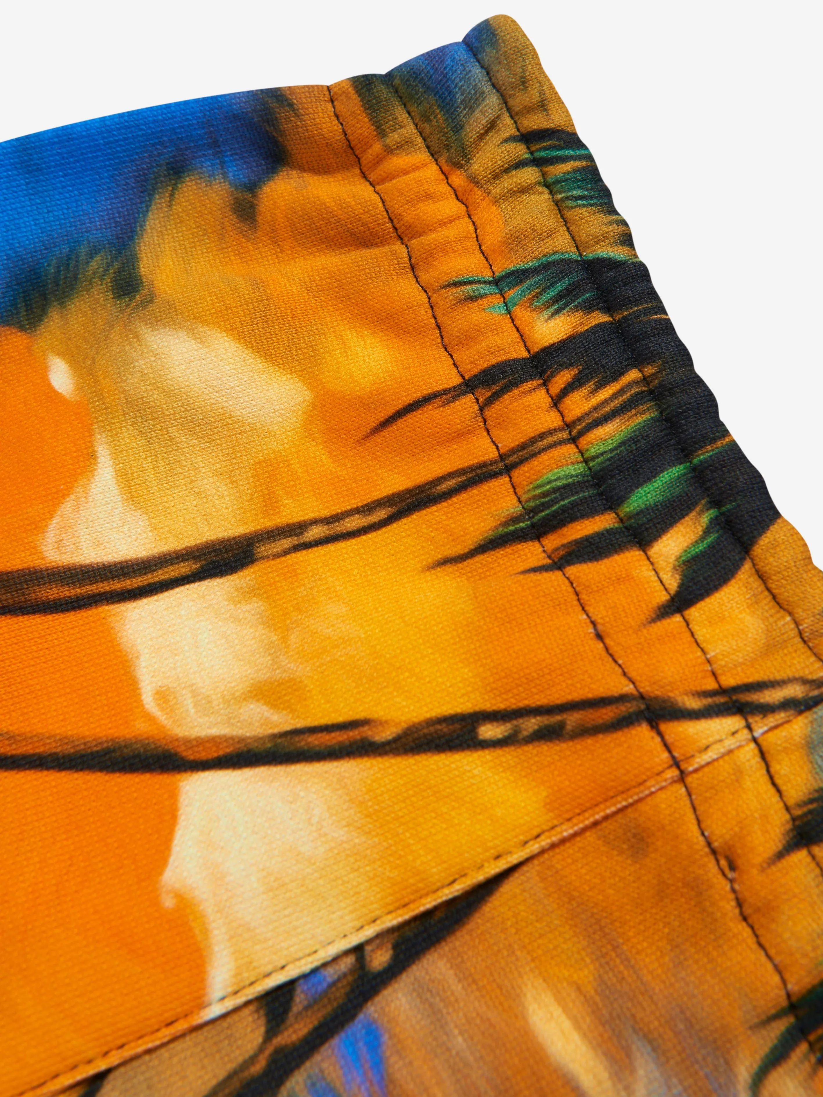 Dolce & Gabbana Baby Boys Hawaiian Shorts in Multicolour