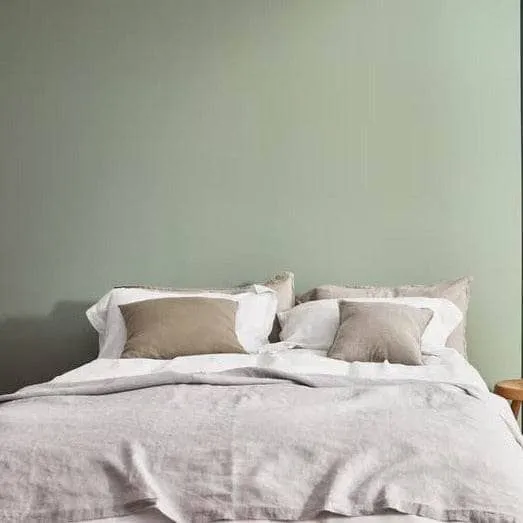 Dulux Easy Care Matt 5L Paint - Willow Tree