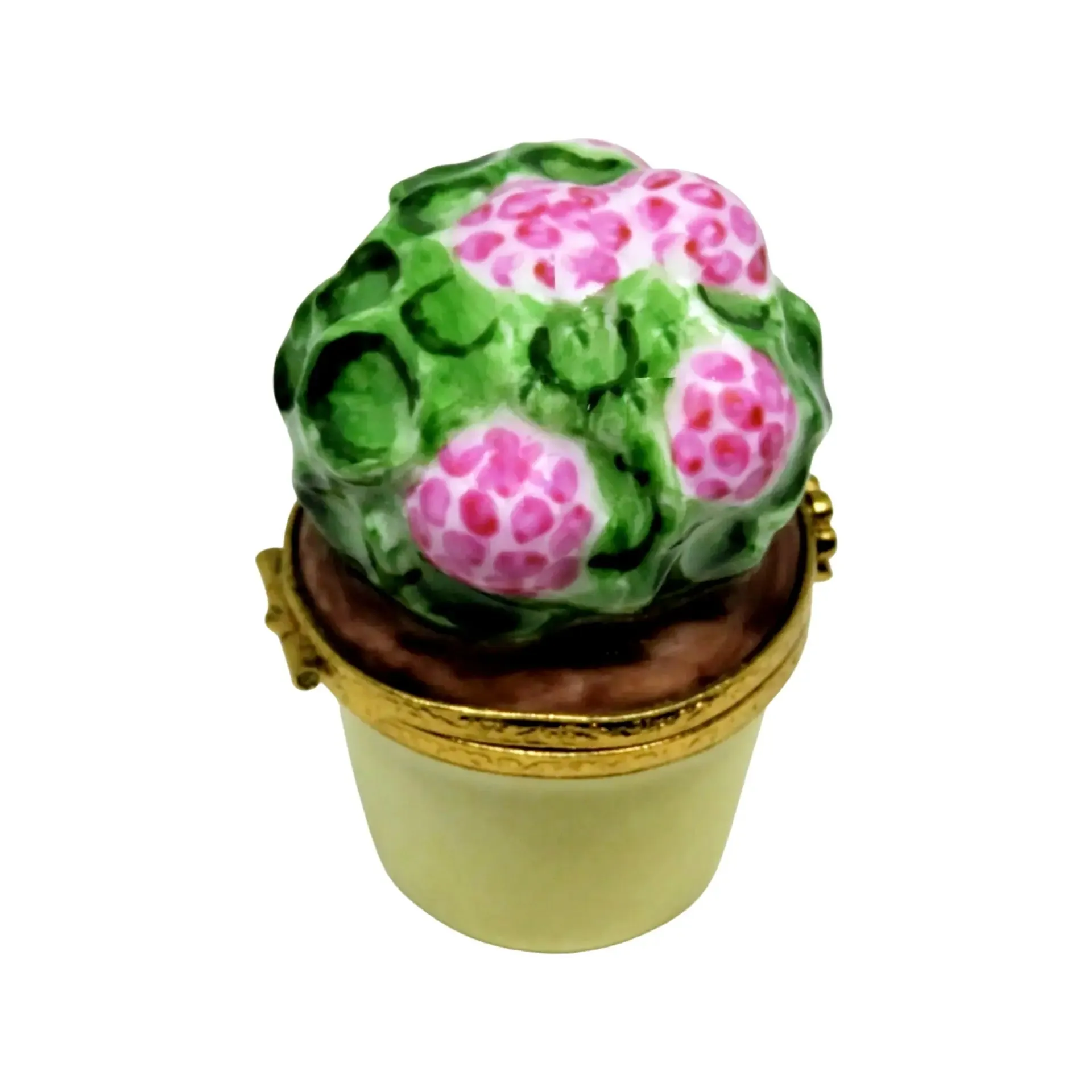 Geranium: Pink