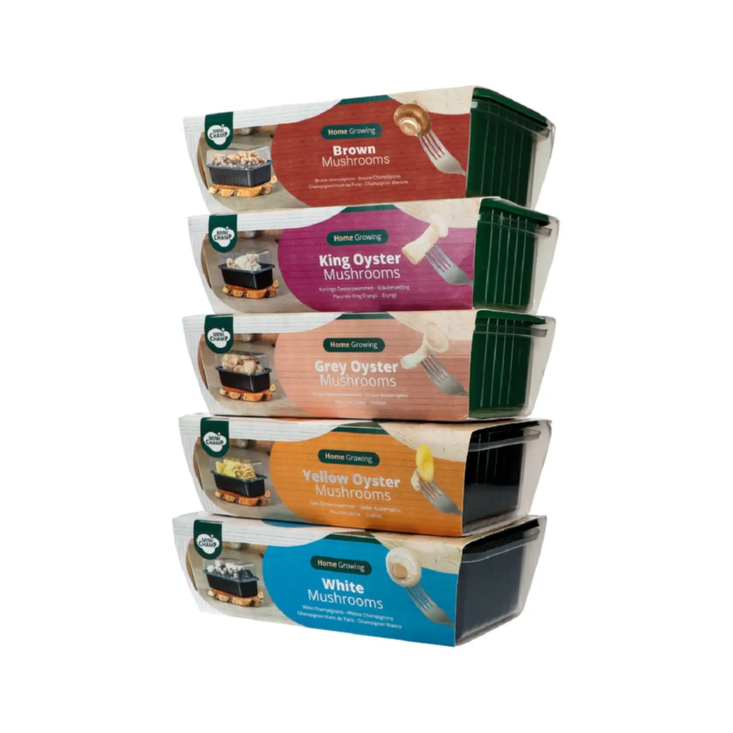 Plantline Mini Champ Home Growing Brown Mushroom