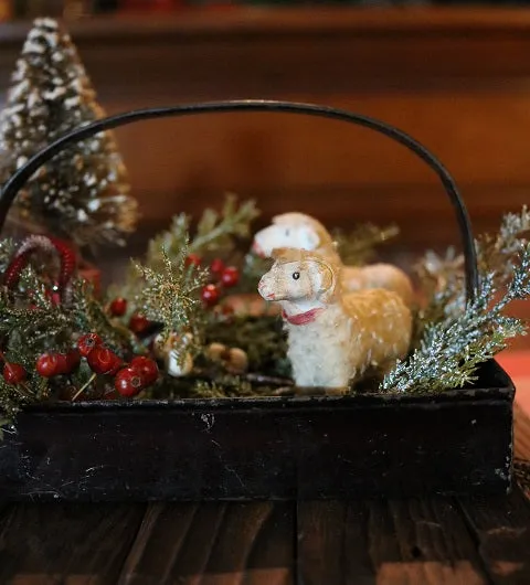 Putz Sheep in Old Spice Caddy Neat Christmas Gathering