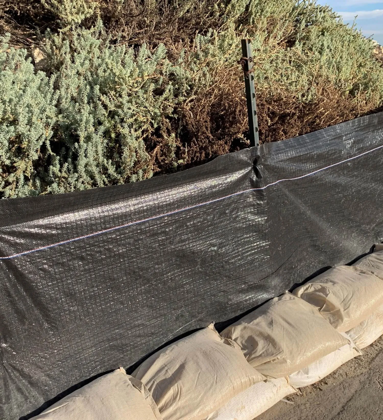 Studded Steel T-Post - Made of Tough Rail Steel - Green, 5 ft or 6 ft (Southern California Delivery)